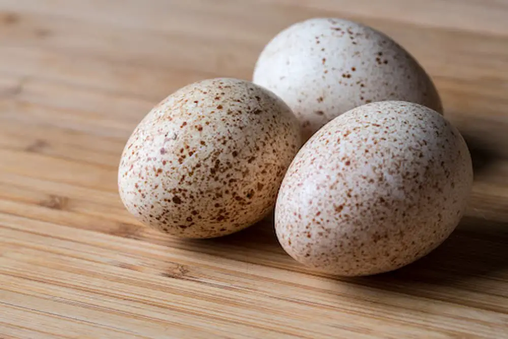 Three speckled turkey eggs on a wooden surface